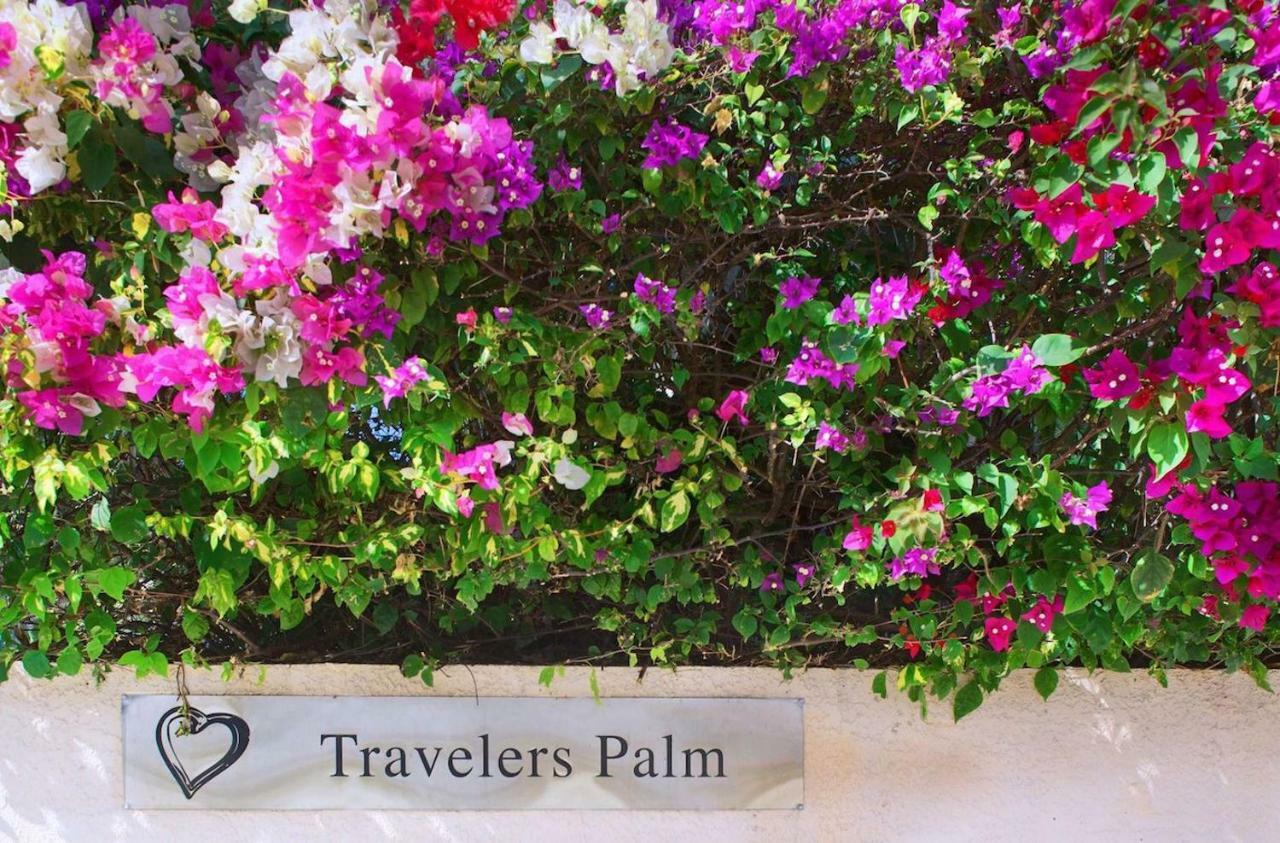 Travelers Palm Inn Key West Dış mekan fotoğraf